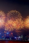 1001firework7