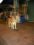 12feb071