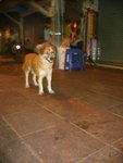 12feb072