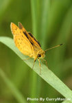Fungyuen(7)