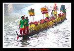 dragon(2)