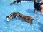 20060910_58