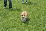DSC_0031