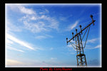 DSC_8050_1