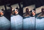 Lomo(30)