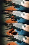 Lomo(31)