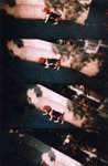 Lomo(32)