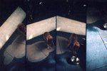 Lomo(33)