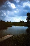 Lomo(37)