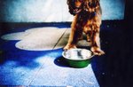 Lomo(9)