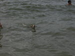 IMG_6104