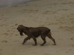 IMG_6136