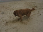 IMG_6140