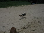 IMG_6180