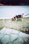 lomo(12)