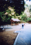 lomo(17)