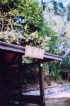 lomo(19)