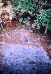 lomo(2)