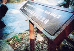 lomo(21)