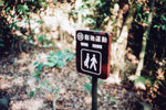 lomo(24)