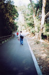 lomo(27)
