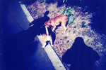 lomo(28)
