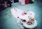 lomo(29)