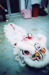 lomo(30)