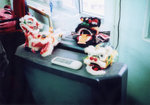 lomo(33)
