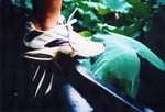 lomo(23)