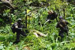 army(6)(001)