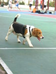 IMG_1028