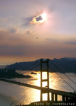 chingma(12)