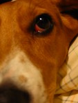 IMG_1105_1