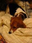 IMG_1107_1