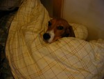 IMG_1118_1