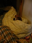 IMG_1119_1