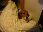 IMG_1121_1