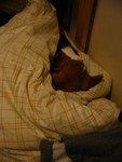 IMG_1123_1
