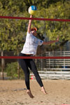 PC175377