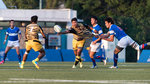 DSC_1203 copy