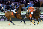STPoloCup795 copy