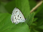 P8065630