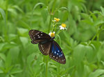 P8065555