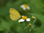 P8065680
