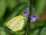 PA067904