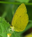 PA067970