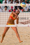 PB120446