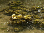 P2220862