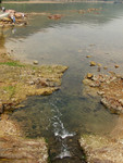 P2220868